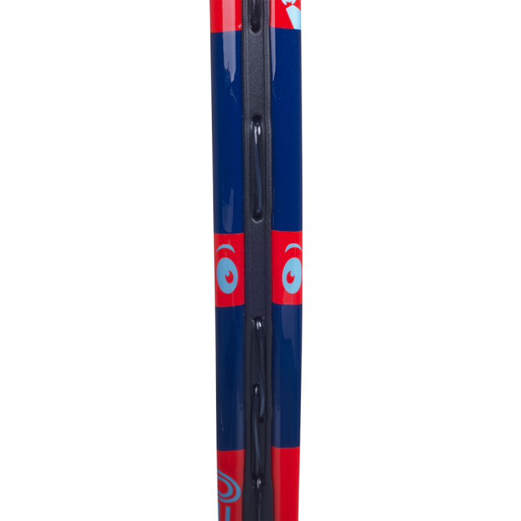 BABOLAT Ballfighter 19