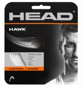 HAWK_3.jpg