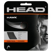 HAWK_1.jpg